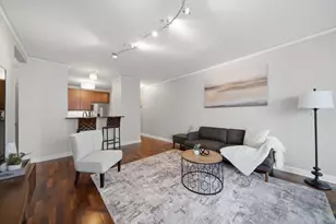 450 E Waterside Dr, Chicago, IL 60601 - Photo 4