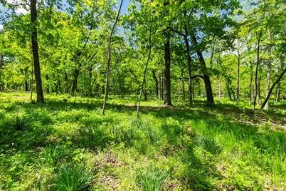 26359 N Hickory Road, Mundelein, IL 60060 - Photo 6