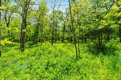26359 N Hickory Road, Mundelein, IL 60060 - Photo 4