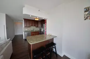 10 E Ontario St, Chicago, IL 60611 - Photo 6