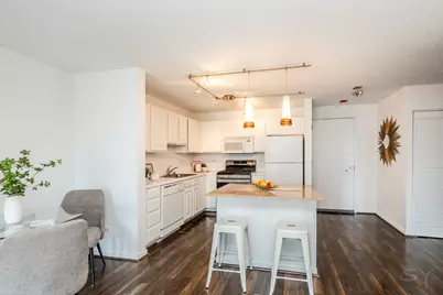 545 N Dearborn Street #W1409, Chicago, IL 60654 - Photo 18
