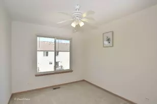 923 Emerald Dr, Pingree Grove, IL 60140 - Photo 14