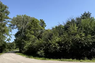 S Maplewood Dr, Wonder Lake, IL 60097 - Photo 1
