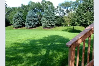 4169 Caribou Court, Joliet, IL 60431 - Photo 38
