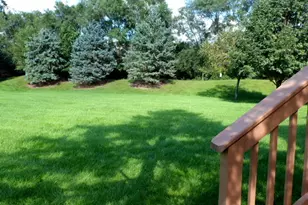 4169 Caribou Ct, Joliet, IL 60431 - Photo 38