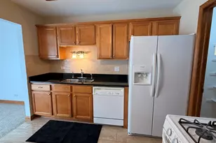 220 Oak Knoll Ct, Schaumburg, IL 60193 - Photo 10