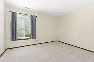 15701 Orlan Brook Dr, Orland Park, IL 60462 - Photo 18