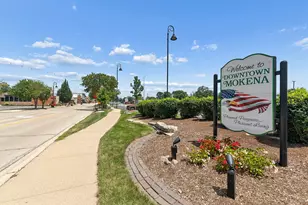18912 Marley Ln, Mokena, IL 60448 - Photo 54