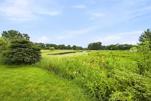 6832 White Egret Ct, Tinley Park, IL 60477 - Photo 32