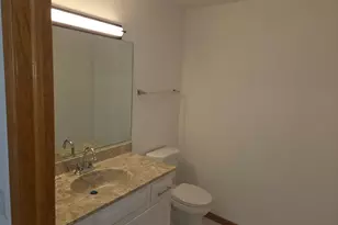 6506 Pine Trail Ln, Tinley Park, IL 60477 - Photo 20