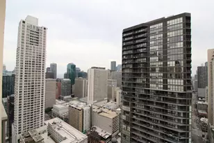 2 E Erie St, Chicago, IL 60611 - Photo 10