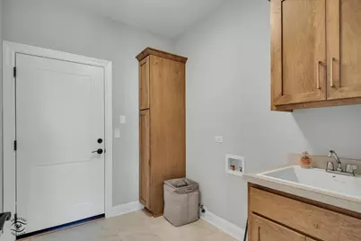 8869 Buffington Breakwater Drive, Frankfort, IL 60423 - Photo 24