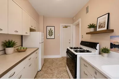 1755 E 55th Street #303, Chicago, IL 60615 - Photo 8