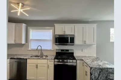 9334 S Paxton Avenue, Chicago, IL 60617 - Photo 4