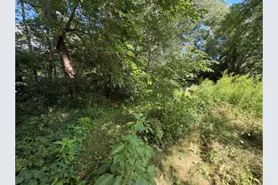 Lot 1 E Madison Street, Batavia, IL 60510 - Photo 2