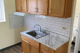 9126 S Buffalo Ave, Chicago, IL 60617 - Photo 14