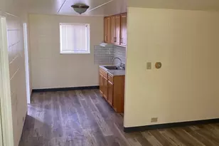 9126 S Buffalo Ave, Chicago, IL 60617 - Photo 4