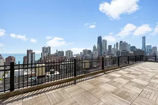 1355 N Sandburg Terrace, Chicago, IL 60610 - Photo 22