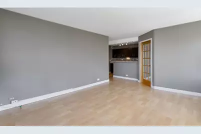 1355 N Sandburg Terrace #1601D, Chicago, IL 60610 - Photo 6