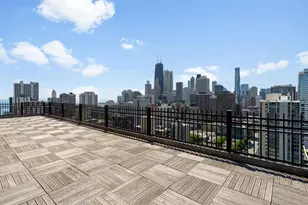 1355 N Sandburg Terrace, Chicago, IL 60610 - Photo 26
