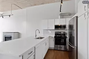 17 N Loomis St, Chicago, IL 60607 - Photo 10