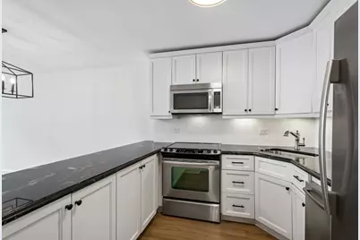 1555 N Sandburg Terrace #512K, Chicago, IL 60610 - Photo 12