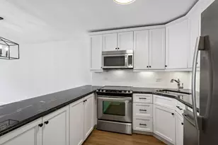 1555 N Sandburg Terrace, Chicago, IL 60610 - Photo 12
