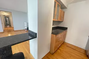 3950 N Lake Shore Dr, Chicago, IL 60611 - Photo 6