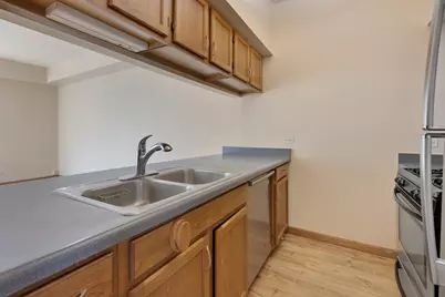1181 Regency Drive, Schaumburg, IL 60193 - Photo 4