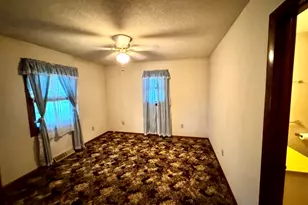 335 N Washington St, Tiskilwa, IL 61368 - Photo 14