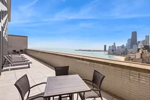 1550 N Lake Shore Dr, Chicago, IL 60610 - Photo 10