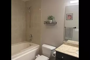 1151 W 14th Pl, Chicago, IL 60608 - Photo 12