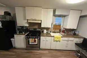 4812 S Elizabeth St, Chicago, IL 60609 - Photo 6