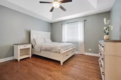 22232 Elise Boulevard, Frankfort, IL 60423 - Photo 54