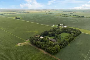 7673 Matznick Rd, Prophetstown, IL 61277 - Photo 50