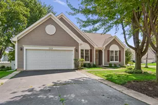 1329 Amaranth Dr, Naperville, IL 60564 - Photo 1