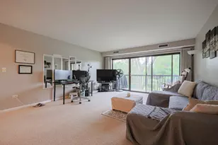 1105 N Mill St, Naperville, IL 60563 - Photo 14