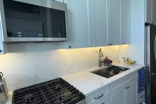 1210 W Jarvis Ave, Chicago, IL 60626 - Photo 10
