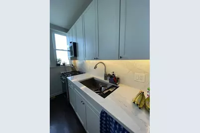 1210 W Jarvis Avenue #3S, Chicago, IL 60626 - Photo 8