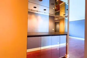 1555 N Sandburg Terrace, Chicago, IL 60610 - Photo 18