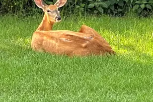 2105 Bent Tree Dr, Geneva, IL 60134 - Photo 30