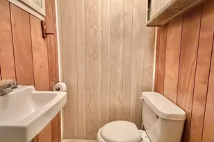 54 Lafayette St, Saunemin, IL 61769 - Photo 24