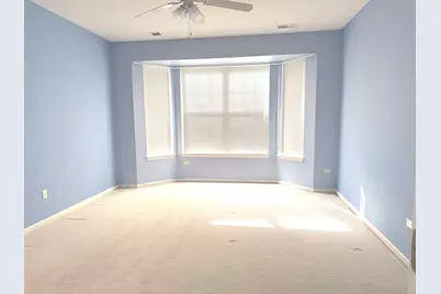 11796 Borhart Drive, Huntley, IL 60142 - Photo 14