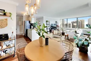 1460 N Sandburg Terrace, Chicago, IL 60610 - Photo 10