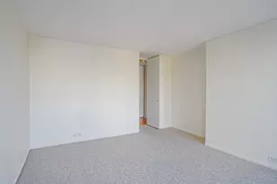 405 N Wabash Ave, Chicago, IL 60611 - Photo 6