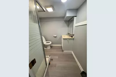 3039 S Millard Avenue, Chicago, IL 60623 - Photo 28