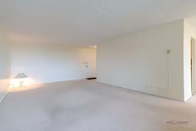 225 S Rohlwing Road #502, Palatine, IL 60074 - Photo 10