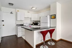 1360 N Sandburg Terrace, Chicago, IL 60610 - Photo 6