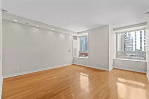 512 N McClurg Ct, Chicago, IL 60611 - Photo 18
