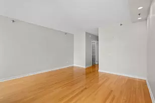 512 N McClurg Ct, Chicago, IL 60611 - Photo 20